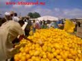 TETOUAN Web - Fotos de T�touan