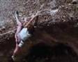 Berhault Climbing like Dancing on the Rock