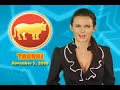 Taurus Horoscope November 3, 2008 Taurus Horoscope November 3, 2008