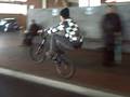 videos de Bunny manuel ZOB