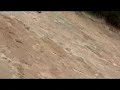 Reitjagd Uenze: Der Berg 2