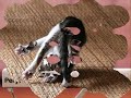 Коты за Здоровый Образ Жизни