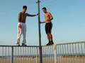 videos de Bam & Jumper backflip
