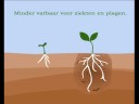 Vatricom Animatiefilm VermiCompost
