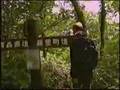 世界自然遺産 白神山地 グレッグ・アーウィン