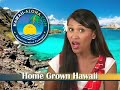 Hawaii Vacation News -August 25, 2008 Hawaii Vacation News -August 25, 2008