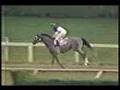 Izvestia Molson Export MIllion 1990 - Triple Crown Winner