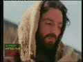 Orthodox Tewahedo