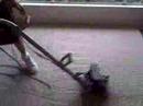 Carpet cleaning Carpet cleaning