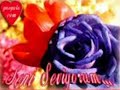 dj-serkancadj-akman-seni-zlemeksevgiakzlem-.html