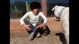 what am I going to become.