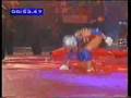 Australian Gladiators - Suspension Bridge