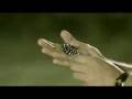 videos de UZBEK~!ئۆزبېكچە