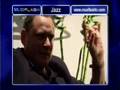 Gilad Atzmon and the OHE Presenting Refuge (pt1)