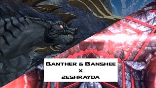 PSO2スノーバンシー＆ブラザーとジーRayda/PSO2 Snow Banshee & Banther and Zeshrayda