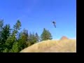 freeride vs bmx