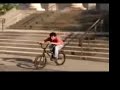 freeride vs bmx