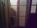 Dans la cage
