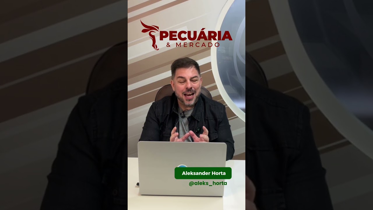 Segue movimento de alta da arroba do Boi Gordo #boigordo #pecuária #gado #proteinasanimais