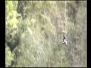 raPHael Bungee Jumping @ Bloukrans Bridge - South Africa (nov/08)