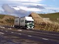 Freightlines Freightliner Argosy