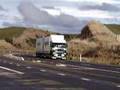 Freightlines Freightliner Argosy