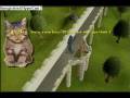 videos de omg  a Giant cat!