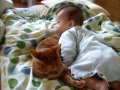 [ネコ]優しく包む包容力で赤ちゃんを見事「猫枕」の世界へいざなう。のサムネイル3
