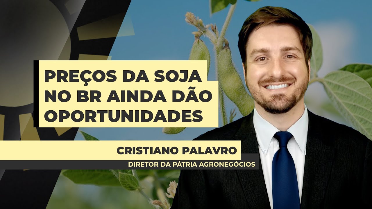 Preços da soja no Brasil ainda dão oportunidade de venda; Chicago deve ficar mais pressionado a fren