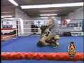 Georges St. Pierre vs. Robin Black