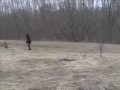 Sasquatch! by Master Zaster Blaster