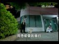柯基犬拍鄉土劇　護主超入戲