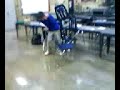 matt yockey