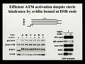 Signal Transduction in Disease and Response to DNA Damage