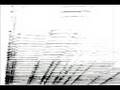 Max/MSP/Jitter Spectral Sound Processing 1: Graphical Transformations