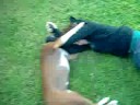 when eddie strikes (part one)
