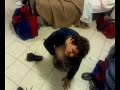 pudru a pecorina
