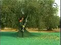 ZEYTiN HASAT VE TOPLAMA MAKiNASI