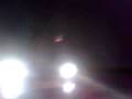 videos de autoreverse_bertone_hombre del bosque y cia...