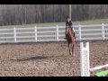 Caitlin riding Ruby.wmv