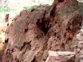 havasu-falls-in-flood.html