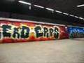 SERM KERO ERPS WHOLECAR