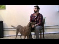 Chesapeake Bay Retriever Interview
