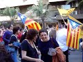 manifestació 26 abril alacant acpv
