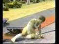 Sports Accidents Sports Accidents
