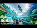 Billets Pour Aquarium Ripley De Toronto