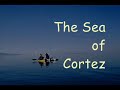 Guide to Baja Sea Kayaking