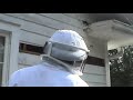 Killing African Honey Bees - Part 1