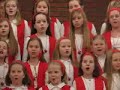 laulupuu-kuoro laulaa puistolan kirkon kauneimmat joululaulut-tilaisuudessa.