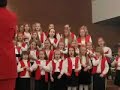 laulupuu-kuoro laulaa puistolan kirkon kauneimmat joululaulut-tilaisuudessa.